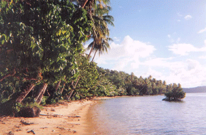 Brahmaputra River Beach